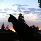 Tayfun - Bild 2