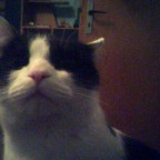 scharly25 - Bild 2