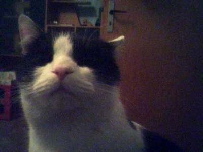 scharly25 - Bild 2