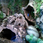 djadja - Bild 3