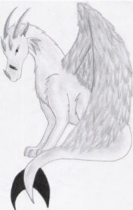 Cael - Bild 2