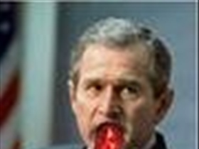 420Buzz - Bild 2