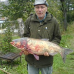 papajoe - Bild 1