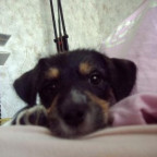 yasminsmama - Bild 4