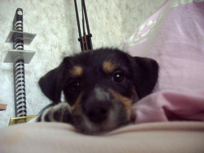 yasminsmama - Bild 4