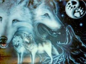 WolfHunter2004 - Bild 6
