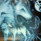 WolfHunter2004 - Bild 6