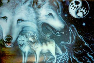 WolfHunter2004 - Bild 6