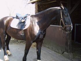 Jacke - Bild 2