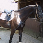 Jacke - Bild 2