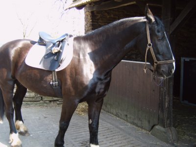 Jacke - Bild 2