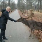vilmute - Bild 8