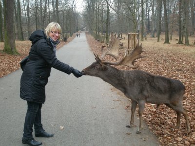 vilmute - Bild 8