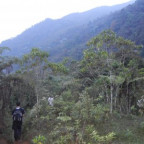 etoeto - Bild 7