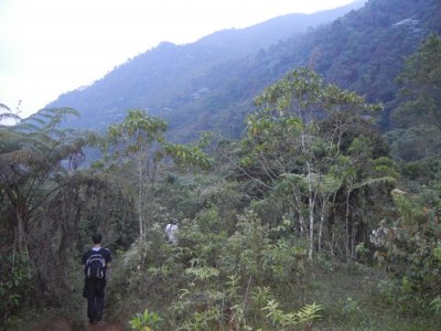 etoeto - Bild 7