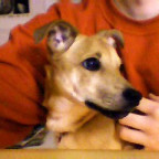 RuckZuck - Bild 3