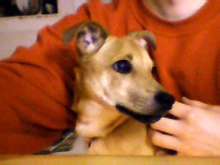 RuckZuck - Bild 3