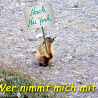 chlinilady - Bild 6