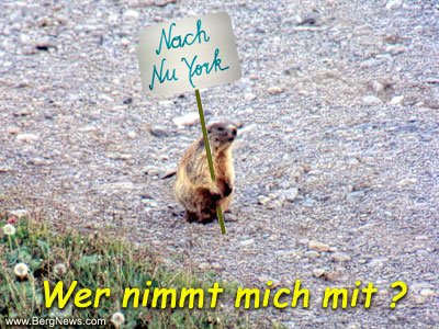 chlinilady - Bild 6