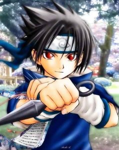 saske-kun - Bild 2