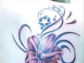 vane- - Bild 2