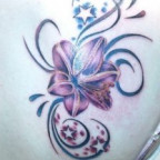 vane- - Bild 2