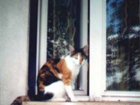 DieKleine - Bild 4