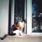 DieKleine - Bild 4