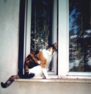 DieKleine - Bild 4