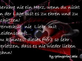 xsonnenscheinx12 - Bild 9