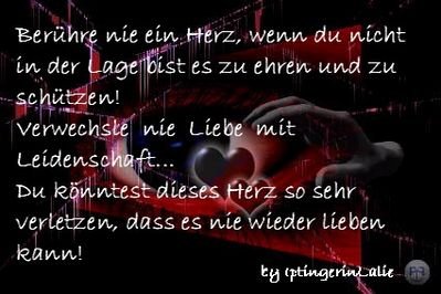 xsonnenscheinx12 - Bild 9