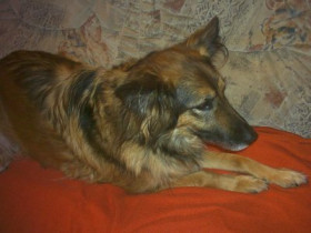 Opera.t - Bild 2