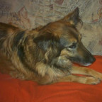 Opera.t - Bild 2