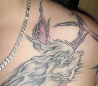 Bunny253 - Bild 3