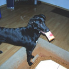 sandra79 - Bild 2