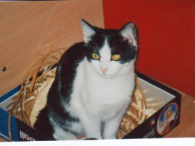 elisabethvrh - Bild 2