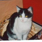 elisabethvrh - Bild 2