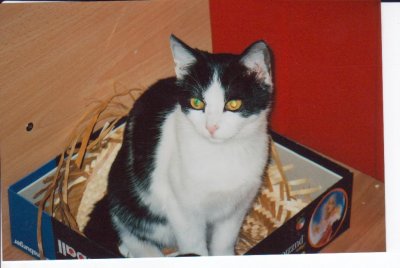 elisabethvrh - Bild 2