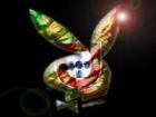 KingOfPortugal - Bild 4