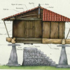..Nuberu_T - Bild 8