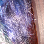 Yasmint - Bild 2